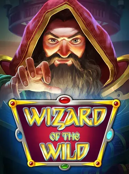 Wizardofthewild gokkast